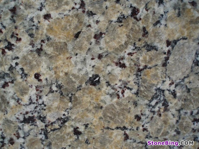 Beige Butterfly Granite Slab