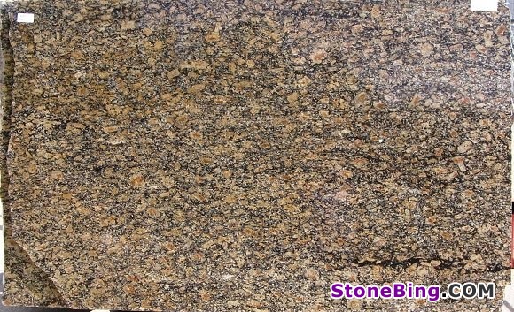 Cheetah Granite Slab