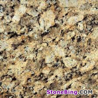 Giallo Napolean Granite Tile