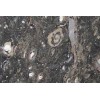 Fossil Brown Marble Tile