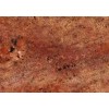 Diamond Red Granite Tile