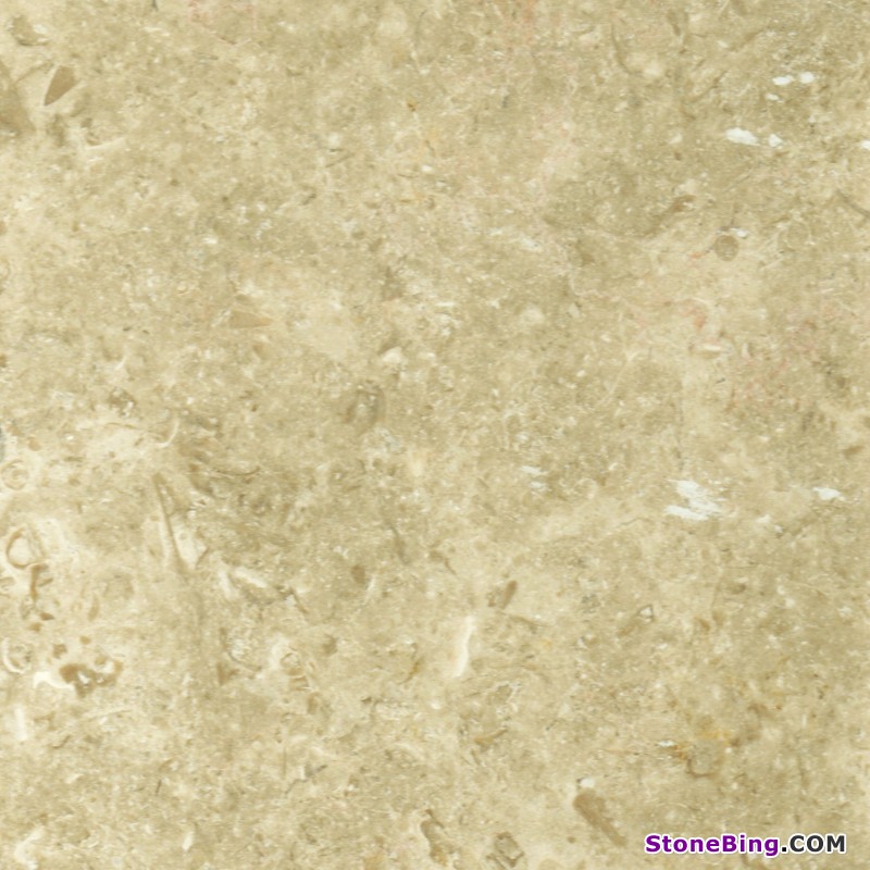 Jerusalem Grey Limestone Tile