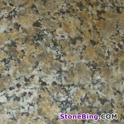 Butterfly Beige Granite Tile