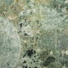 Jurassic Green Granite Tile