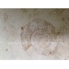 Jura beige tile