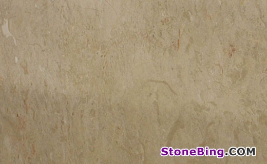 Crema Nova Marble Slab