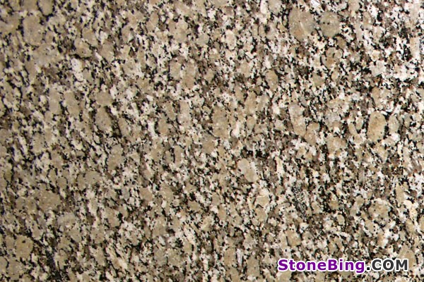 Autumn Beige Granite Tile