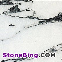 Arabescato Corchia Marble Tile