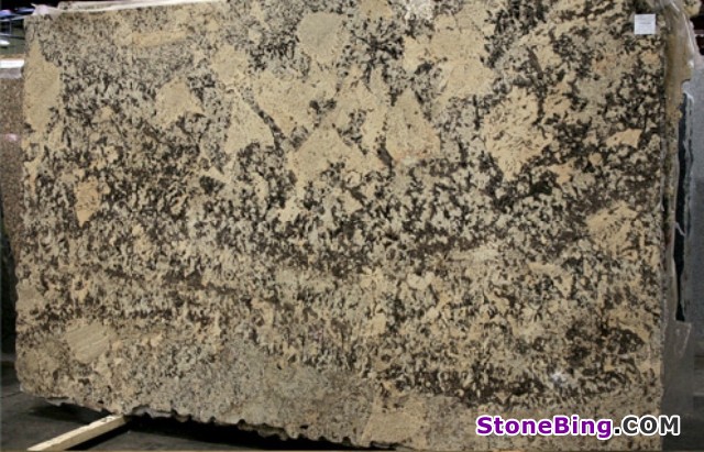 Exotic Cream Granite Slab