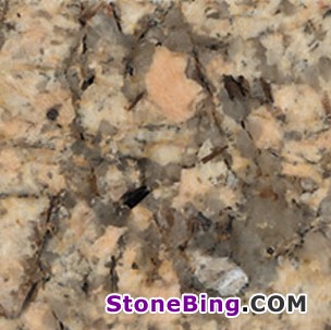 Coral Reef Granite Tile