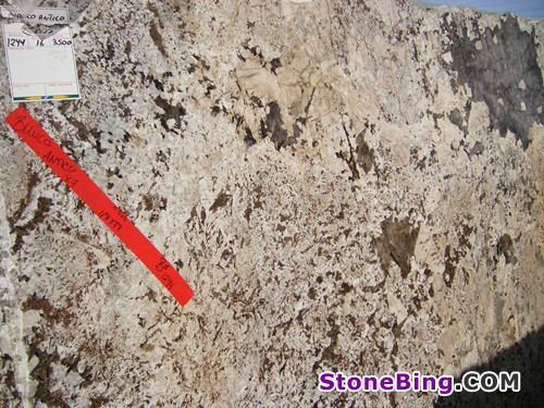 Bianco Antico Granite Slab