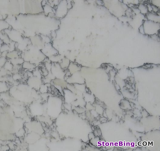 Arabescato Faniello Marble Tile