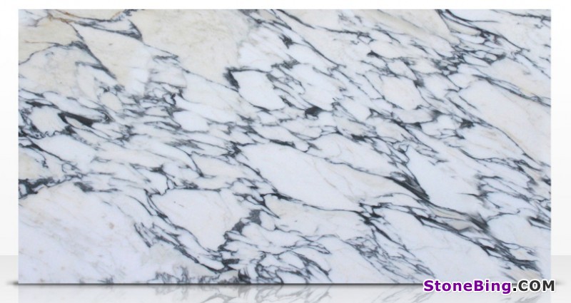Arabescato Corchia Marble Slab
