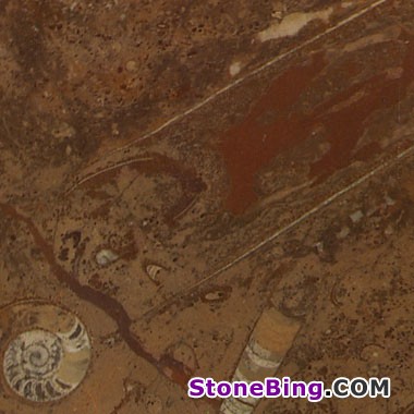 Fosil Brown Marble Tile