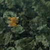 Baltic Green Granite Tile