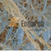 Blue Jeans Granite Tile