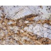 Betularie Granite Slab