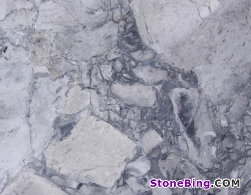 Brazilian Arabescato Quartzite Slab