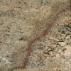 Crema Bordeaux Granite Tile