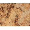 Golden Wave Granite Slab