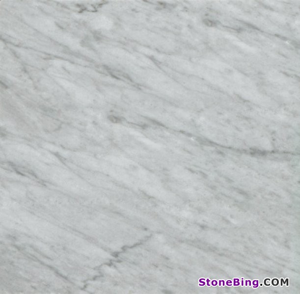 Bardiglietto Marble Tile