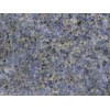 Blue King Granite Tile