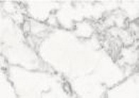 Arabescato Altissimo Marble Tile