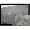 Artic Cream Granite Slab