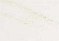 Bianco Lasa Vena Marble Tile