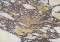 Breccia Colorata Antica Marble Tile