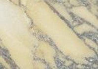 Calacatta Siena Marble Tile