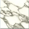 Arabescato Gioia Marble Tile