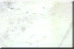 Banswara White Marble Tile