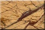 Rain Forest Yellow Marble Tile