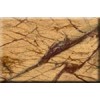Rain Forest Yellow Marble Tile
