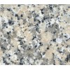 Crema Julia Granite Tile