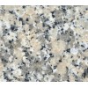 Crema Julia Granite Tile