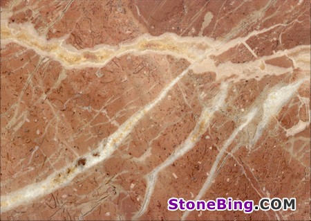 Coralito Marble Tile