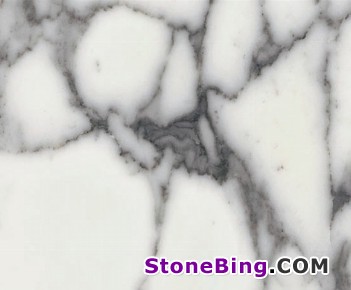 Arabescato Cervaiole Marble Tile