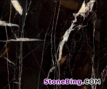 Black and Gold Marble Tile