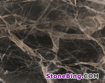 Breccia Paradiso Marble Tile