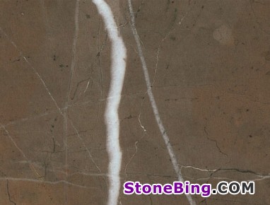 Brown Collemandina Marble Tile