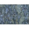 Blue Butterfly Granite Tile