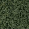 China Green Granite Tile