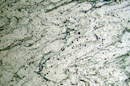White River Granite Tile