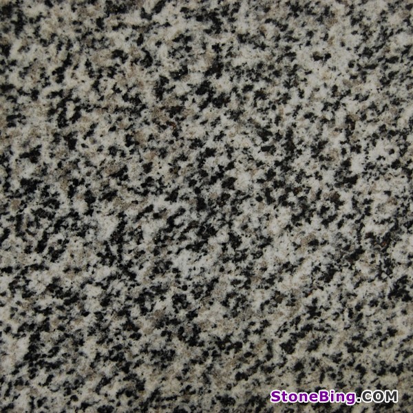 Bianco Dalmata Granite Tile