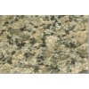 Polychrome Granite Tile