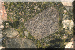Marinace Green Granite Tile