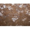 Artus Gold Granite Slab