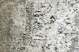 Torrone Granite Tile